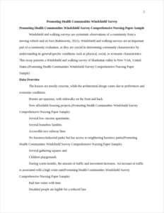 Promoting Health Communities Windshield Survey Comprehensive Nursing Paper Sample – page 2