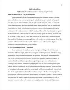 Right to Healthcare Comprehensive Nursing Essay Example – page 2