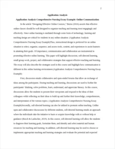 Application Analysis Comprehensive Nursing Essay Example – page 2