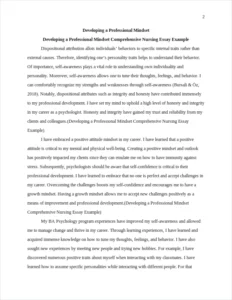 Developing a Professional Mindset Comprehensive Nursing Essay Example – page 2