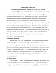 Organizational Change Project Comprehensive Nursing Paper Example – page 2