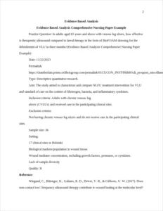 Evidence Based Analysis Comprehensive Nursing Paper Example – page 2
