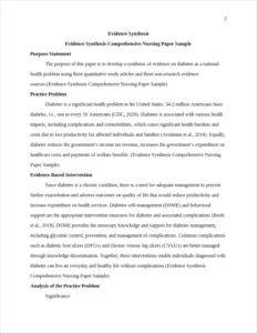 Evidence Synthesis Comprehensive Nursing Paper Sample – page 2