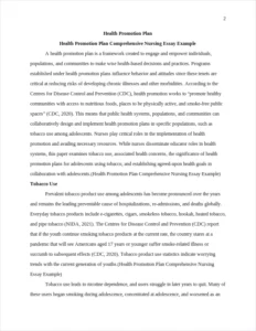 Health Promotion Plan Comprehensive Nursing Essay Example – page 2