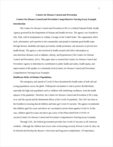 Centers for Disease Control and Prevention Comprehensive Nursing Essay Example – page 2