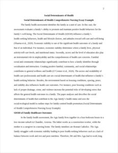Social Determinants of Health Comprehensive Nursing Essay Example – page 2
