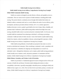 Public Health Nursing Service Delivery Comprehensive Nursing Essay Example – page 2