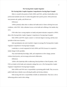 The Nursing Roles Graphic Organizer Comprehensive Nursing Paper Example – page 2