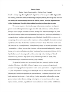 Banner Stages Comprehensive Nursing Essay Example – page 2
