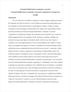 Functional Health Pattern Community Assessment Comprehensive Nursing Essay Example – page 2