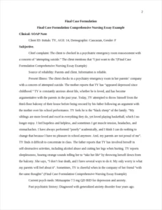 Final Case Formulation Comprehensive Nursing Essay Example – page 2