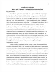 Medical Safety Competency Comprehensive Nursing Essay Example – page 2