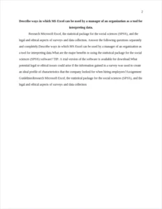 Describe ways in which MS Excel can be used by a manager of an organization as a tool for interpreting data. – page 2