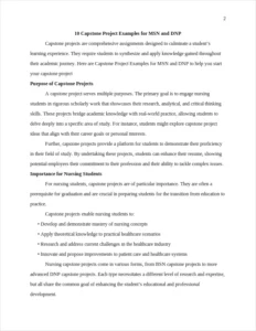 Capstone Project Examples – page 2