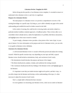 Literature Review Template for MSN – page 2