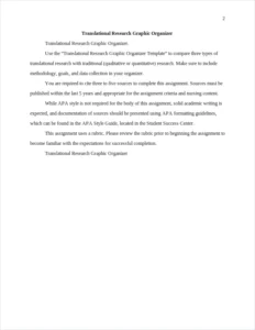 Translational Research Graphic Organizer – page 2