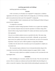 marketing opportunities and challenges – page 2