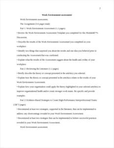 Work Environment assessment – page 2